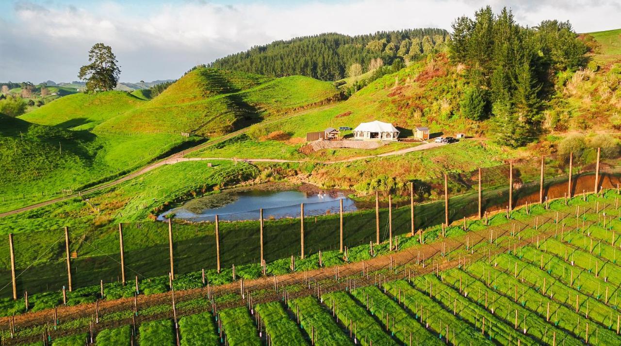Orchard Valley Glamping أوتوروهانغا المظهر الخارجي الصورة