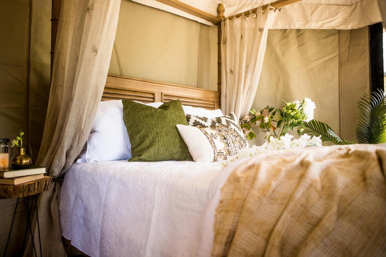 Orchard Valley Glamping أوتوروهانغا المظهر الخارجي الصورة